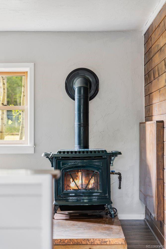 MLS Image #5 for 133  gold run road,alma, Colorado