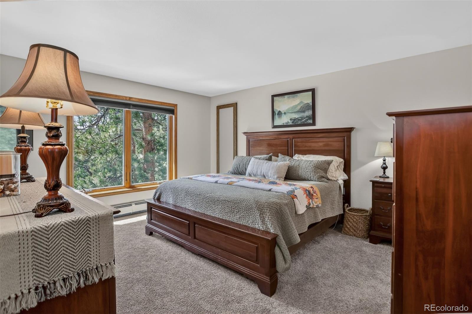 MLS Image #23 for 34144  rock creek road,pine, Colorado