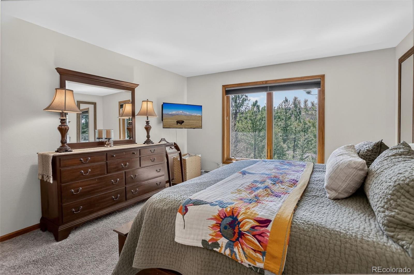 MLS Image #26 for 34144  rock creek road,pine, Colorado