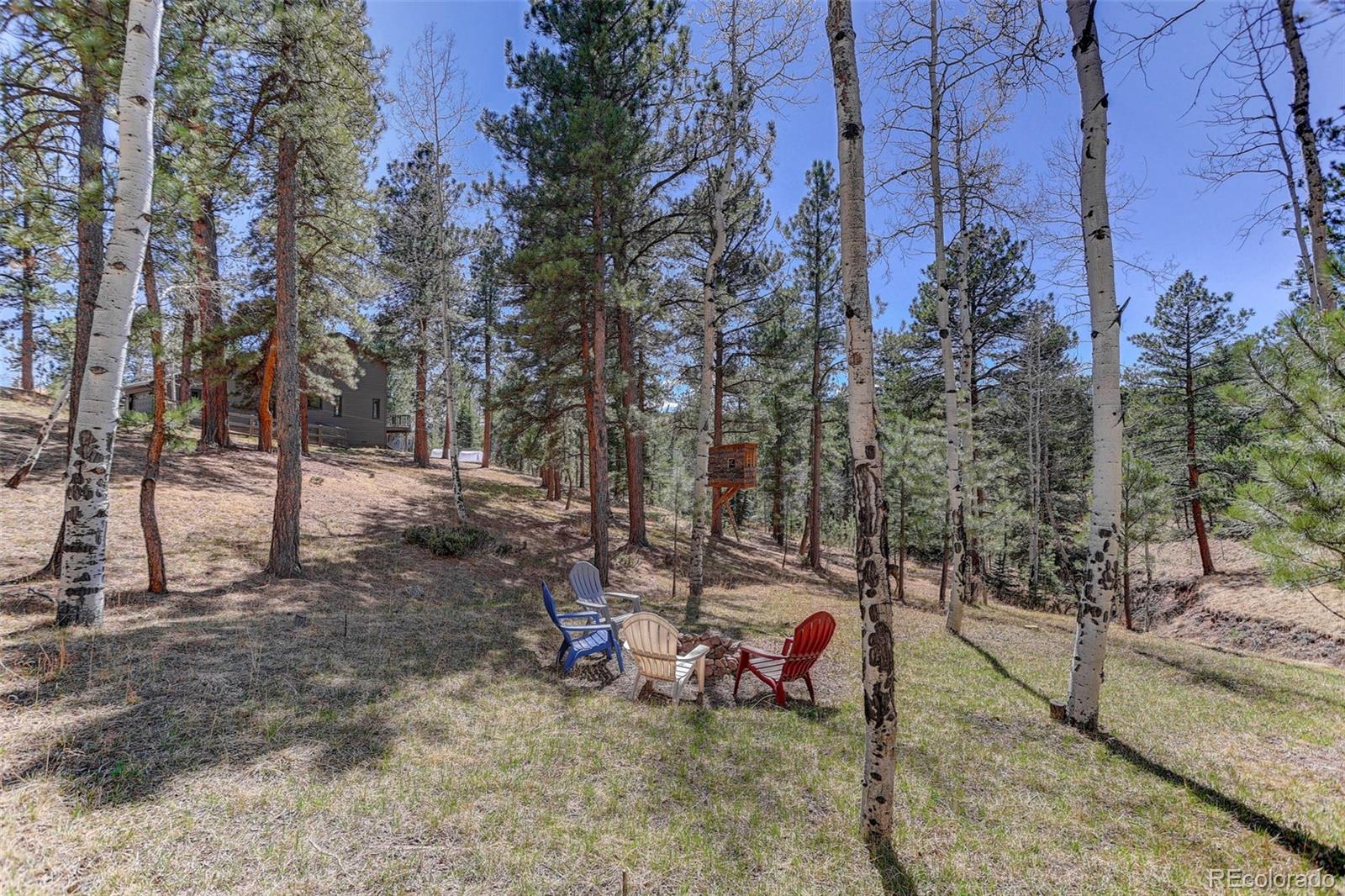 MLS Image #44 for 34144  rock creek road,pine, Colorado