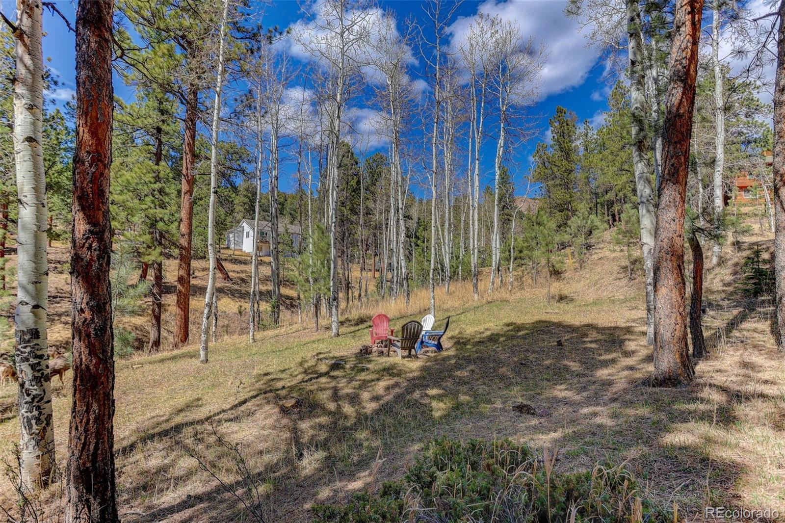 MLS Image #45 for 34144  rock creek road,pine, Colorado