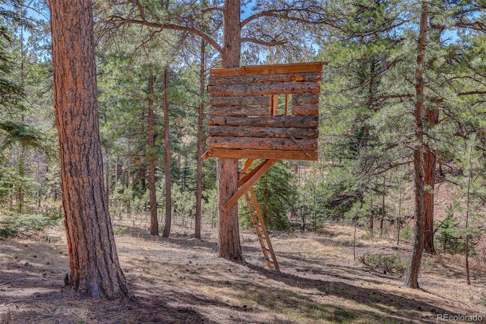 MLS Image #47 for 34144  rock creek road,pine, Colorado