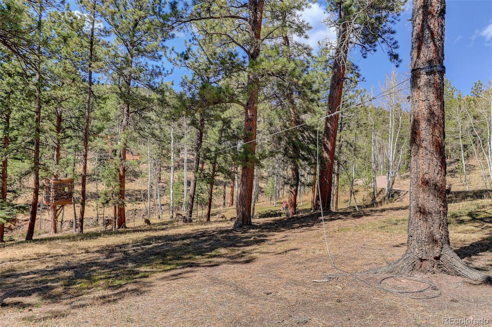 MLS Image #48 for 34144  rock creek road,pine, Colorado