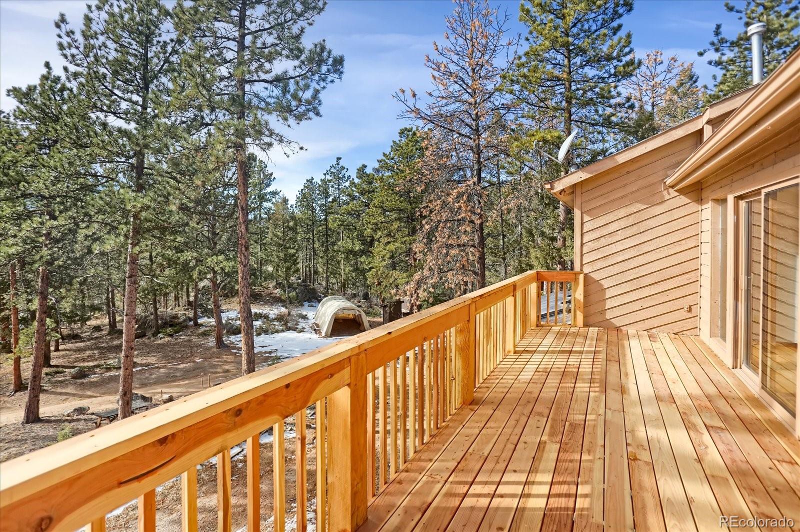 MLS Image #10 for 12345  bear haven road,conifer, Colorado