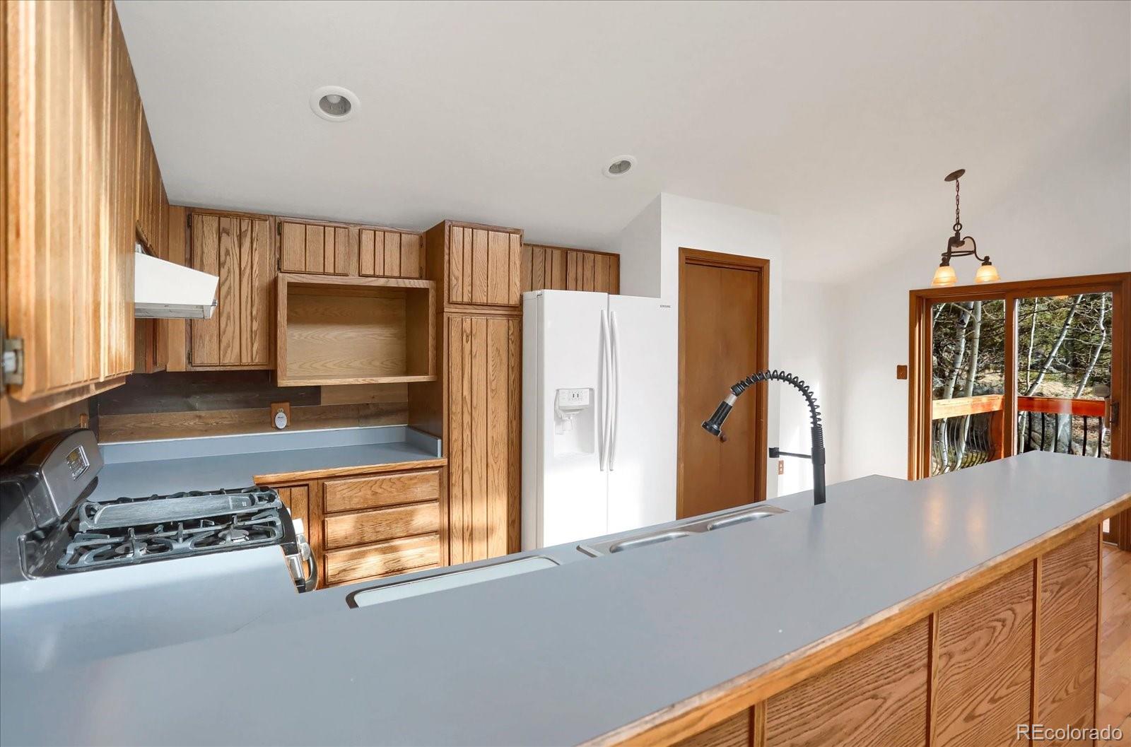 MLS Image #15 for 12345  bear haven road,conifer, Colorado