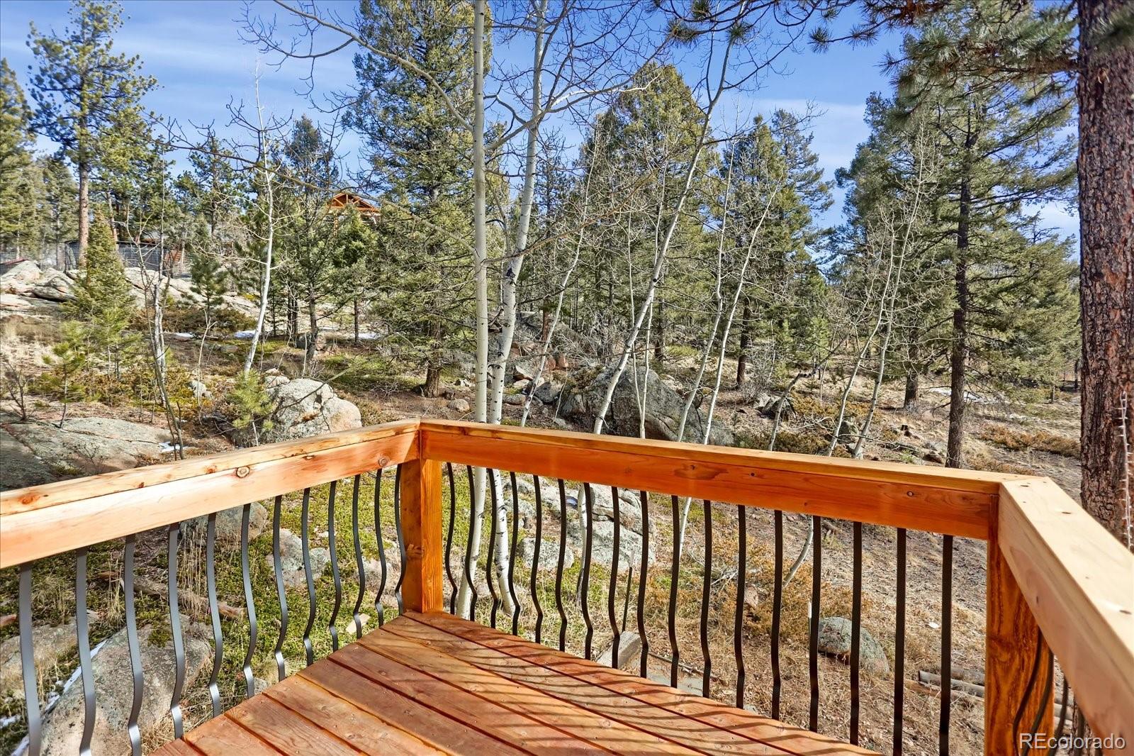 MLS Image #24 for 12345  bear haven road,conifer, Colorado