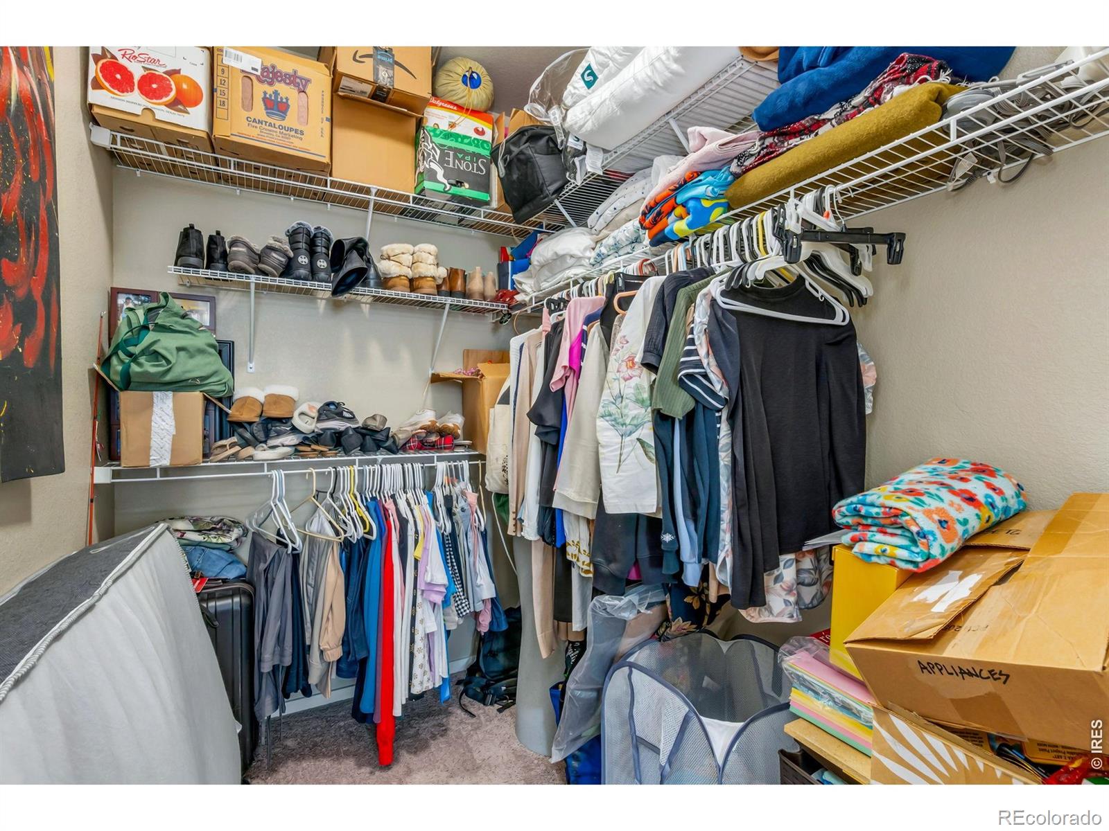 MLS Image #21 for 2940  kincaid drive,loveland, Colorado