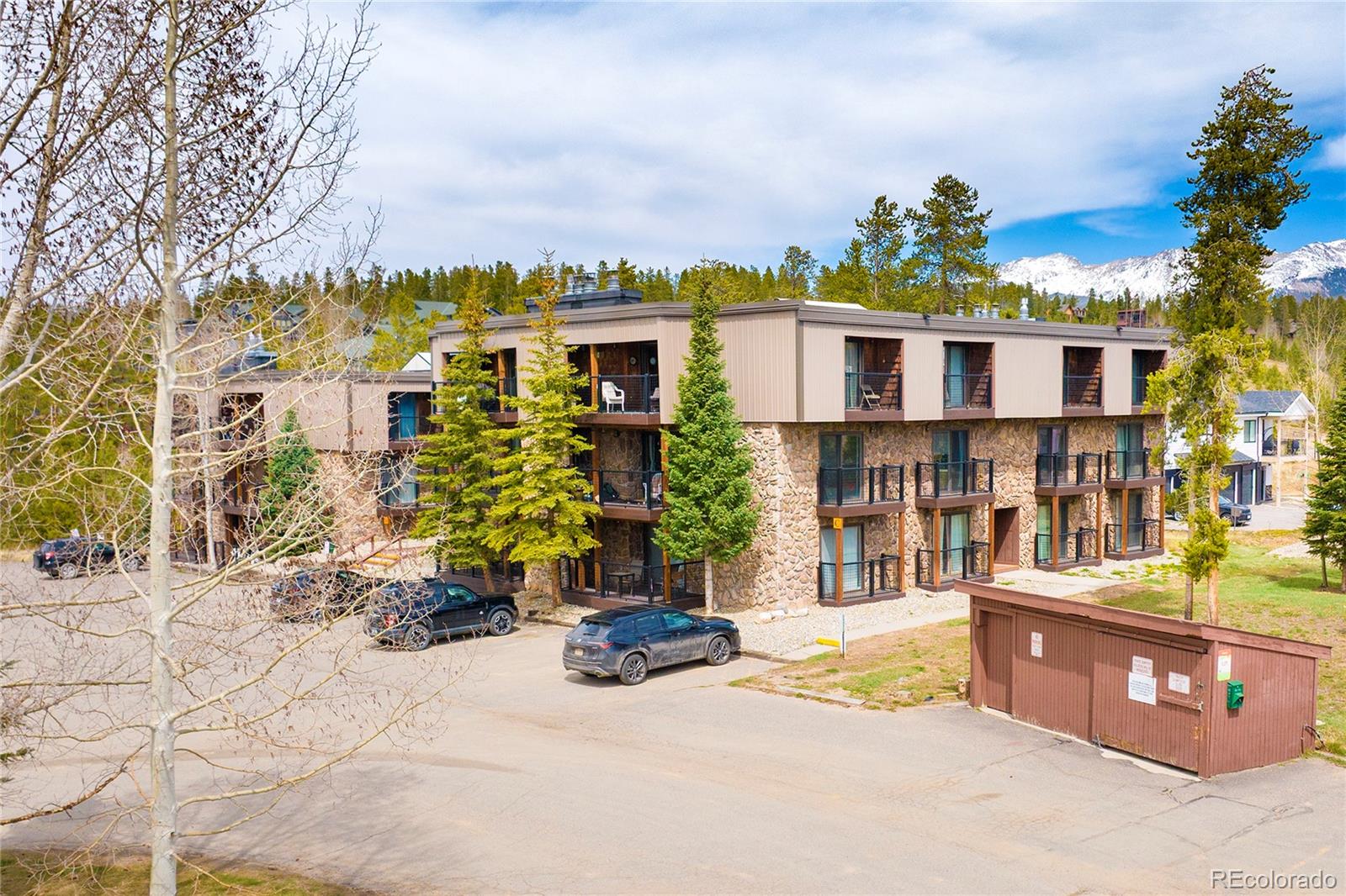 MLS Image #3 for 80  county road 8500 ,fraser, Colorado