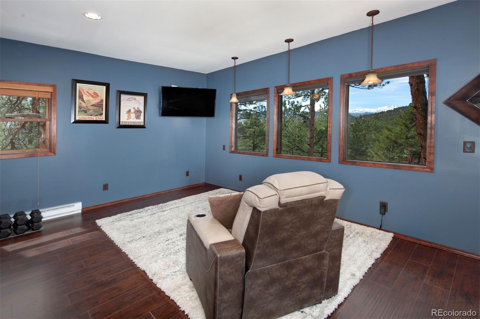 MLS Image #30 for 29310  buchanan drive,evergreen, Colorado