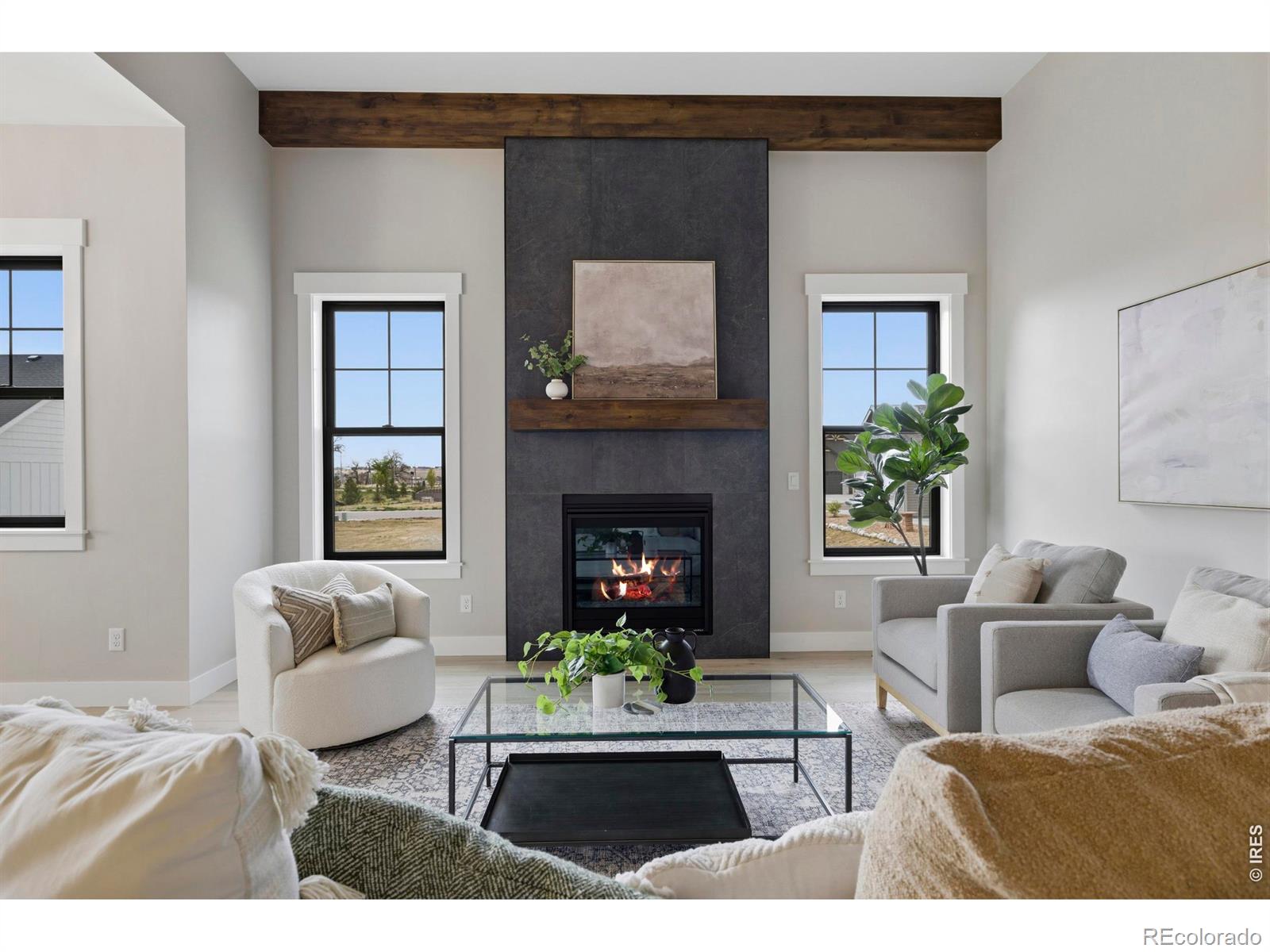 MLS Image #4 for 1255  eliza avenue,berthoud, Colorado