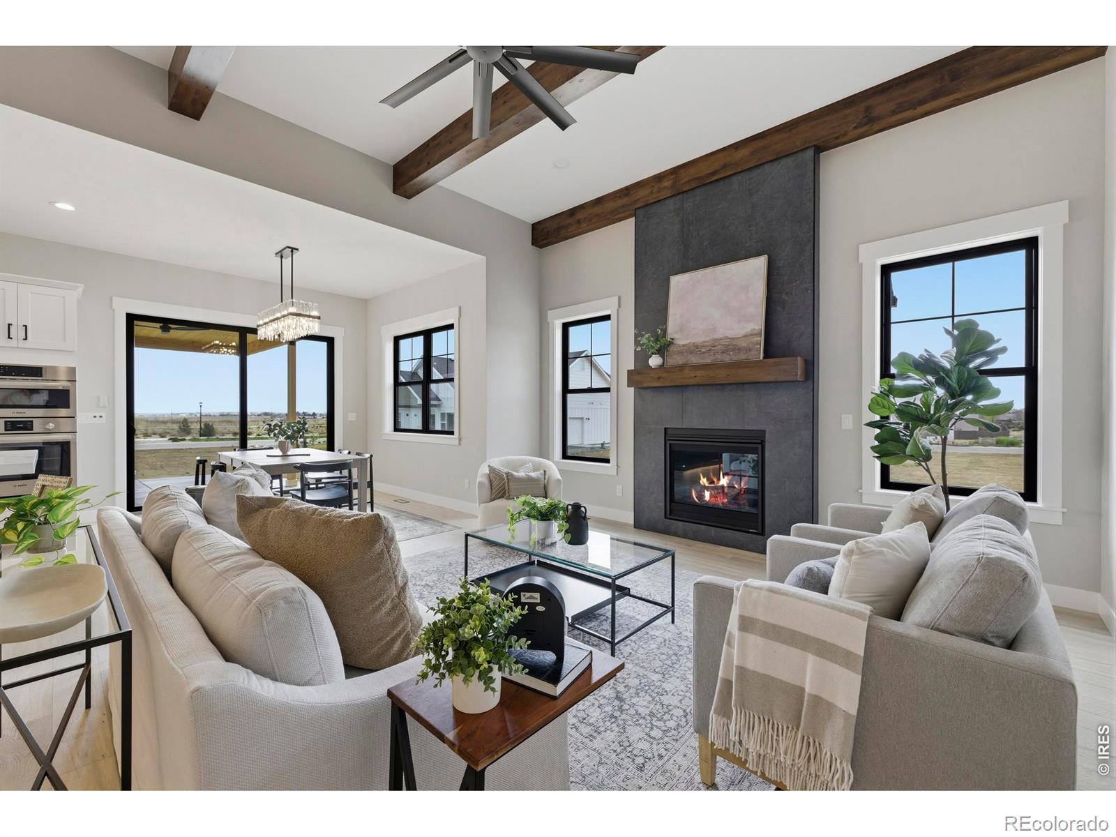 MLS Image #5 for 1255  eliza avenue,berthoud, Colorado