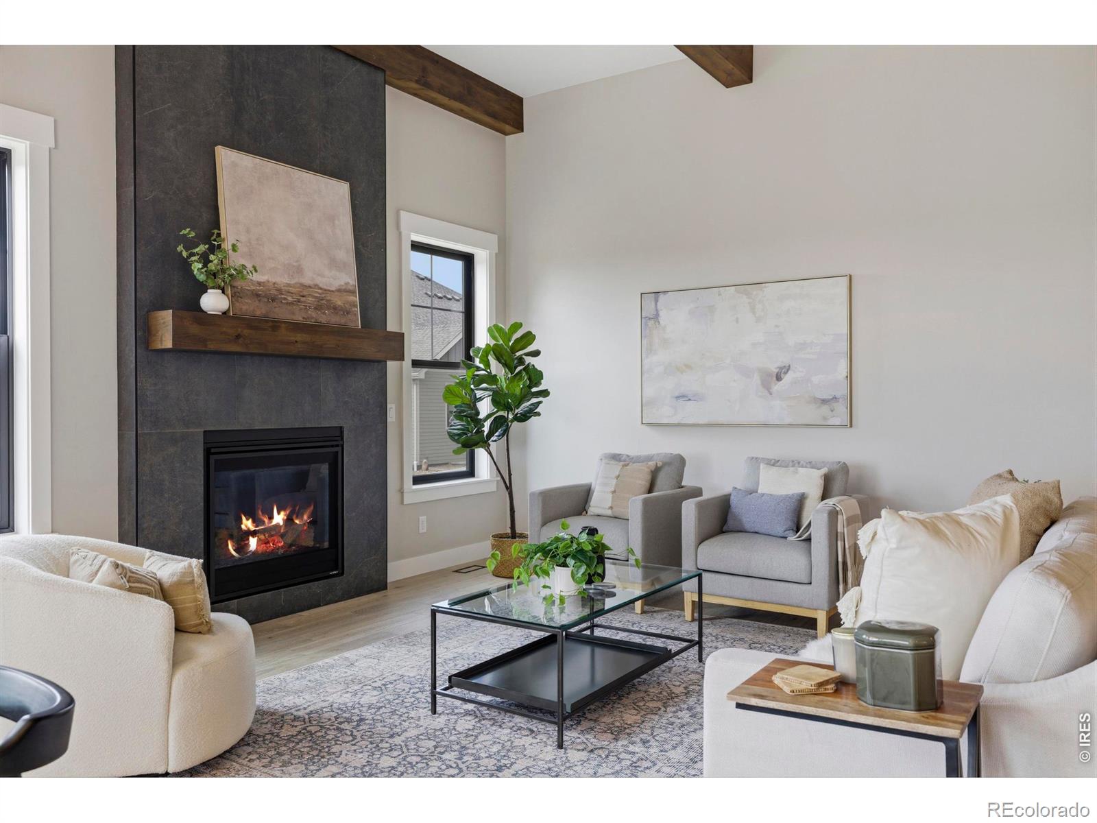 MLS Image #6 for 1255  eliza avenue,berthoud, Colorado