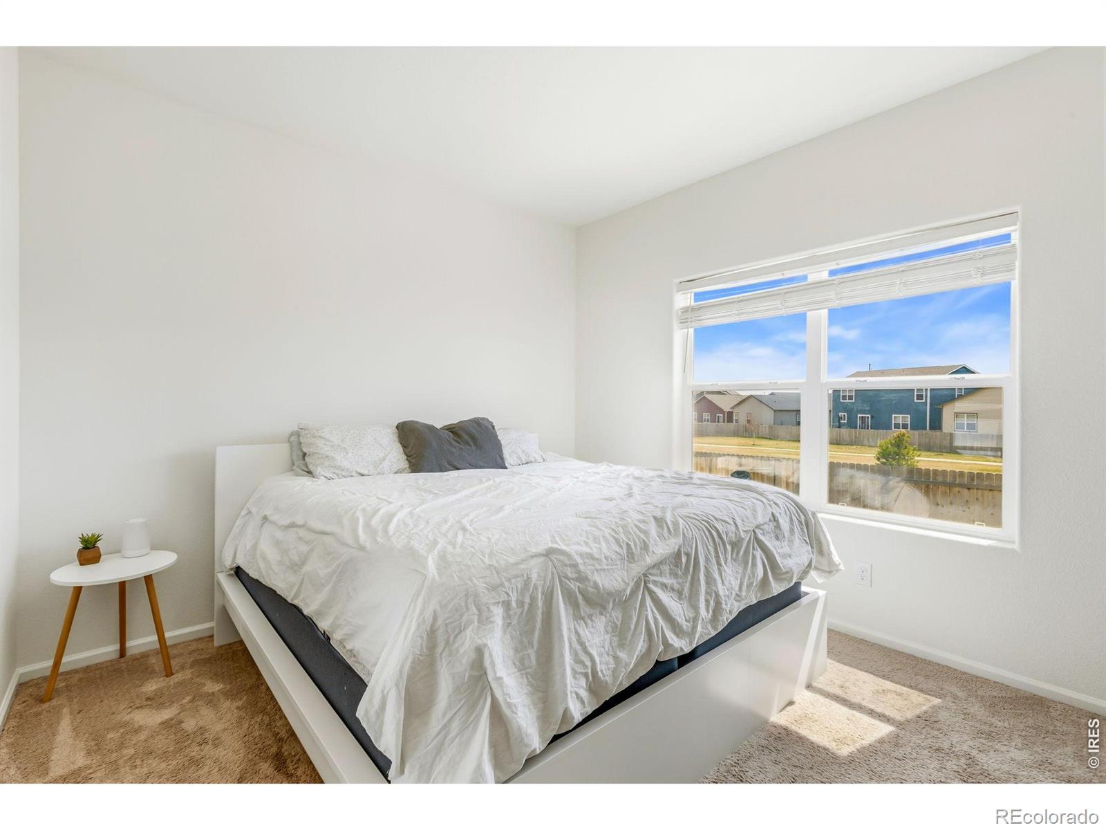 MLS Image #12 for 316  thomas avenue,keenesburg, Colorado