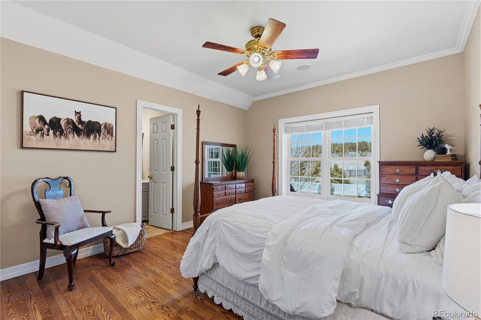 MLS Image #16 for 458  grey squirrel way,franktown, Colorado