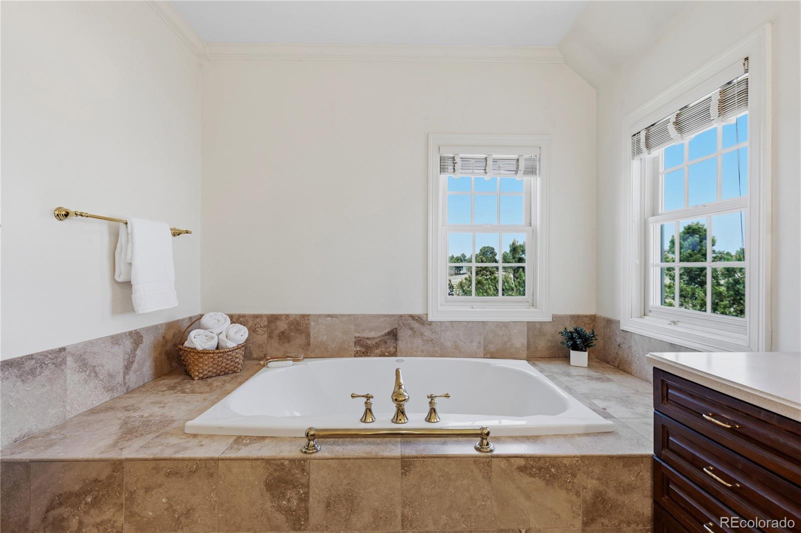 MLS Image #17 for 458  grey squirrel way,franktown, Colorado