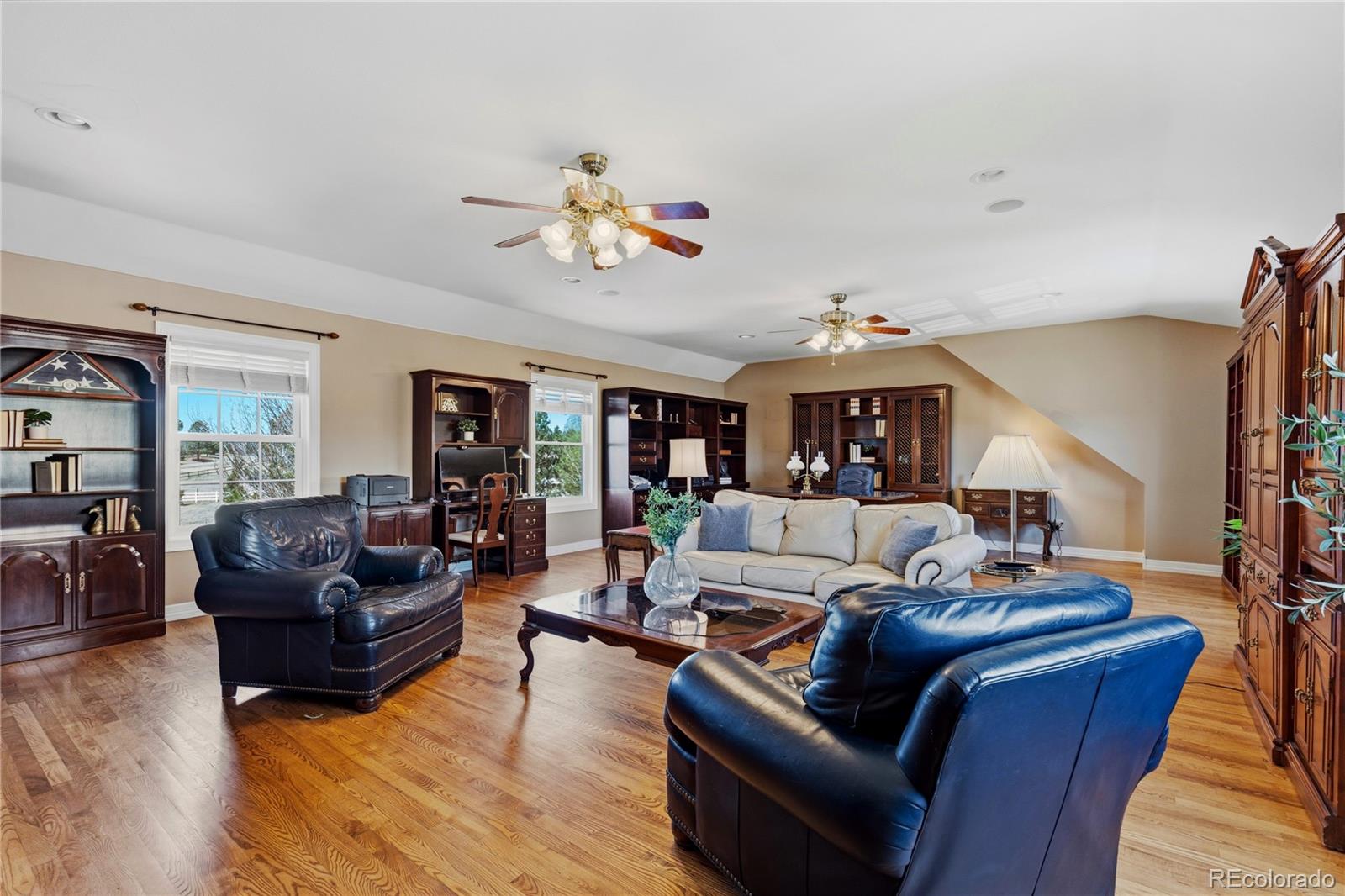 MLS Image #22 for 458  grey squirrel way,franktown, Colorado