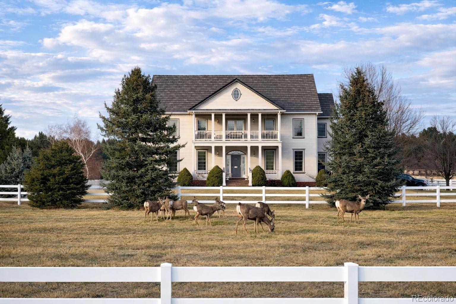 MLS Image #3 for 458  grey squirrel way,franktown, Colorado