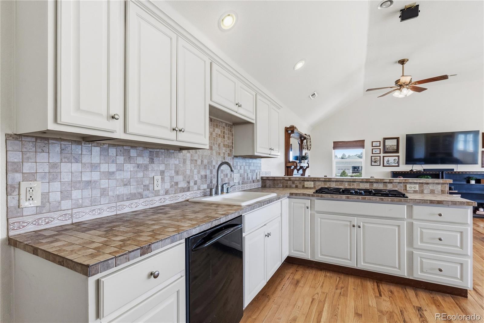 MLS Image #47 for 458  grey squirrel way,franktown, Colorado