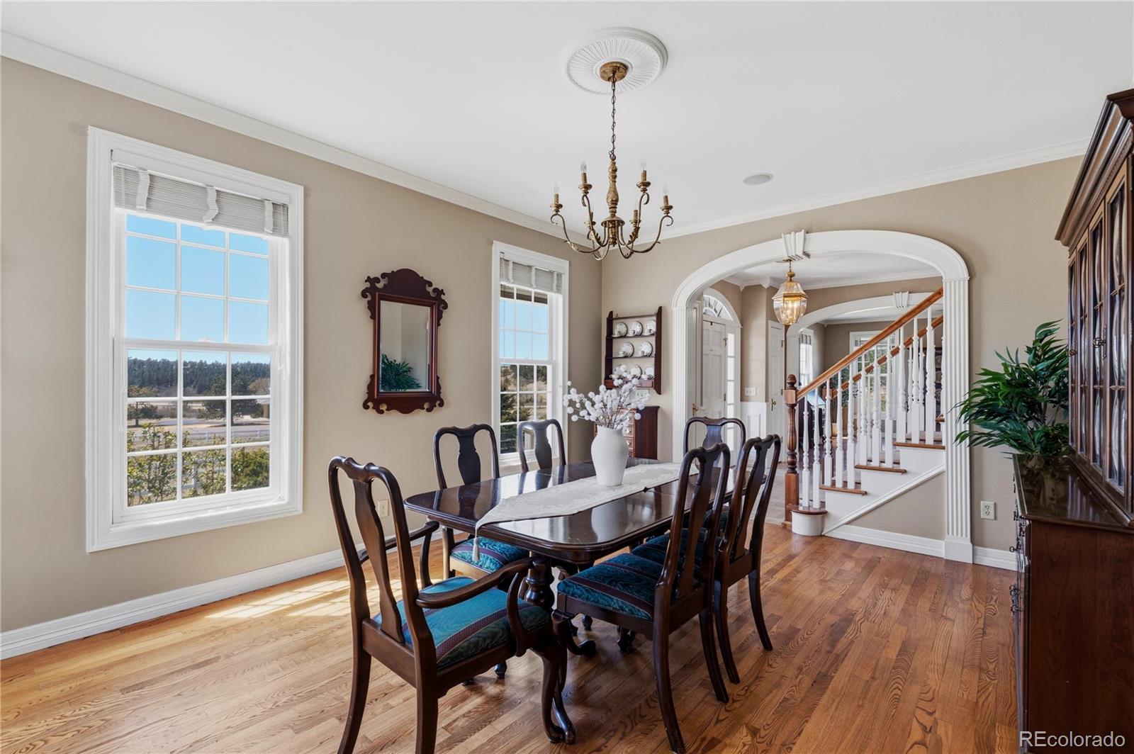 MLS Image #8 for 458  grey squirrel way,franktown, Colorado