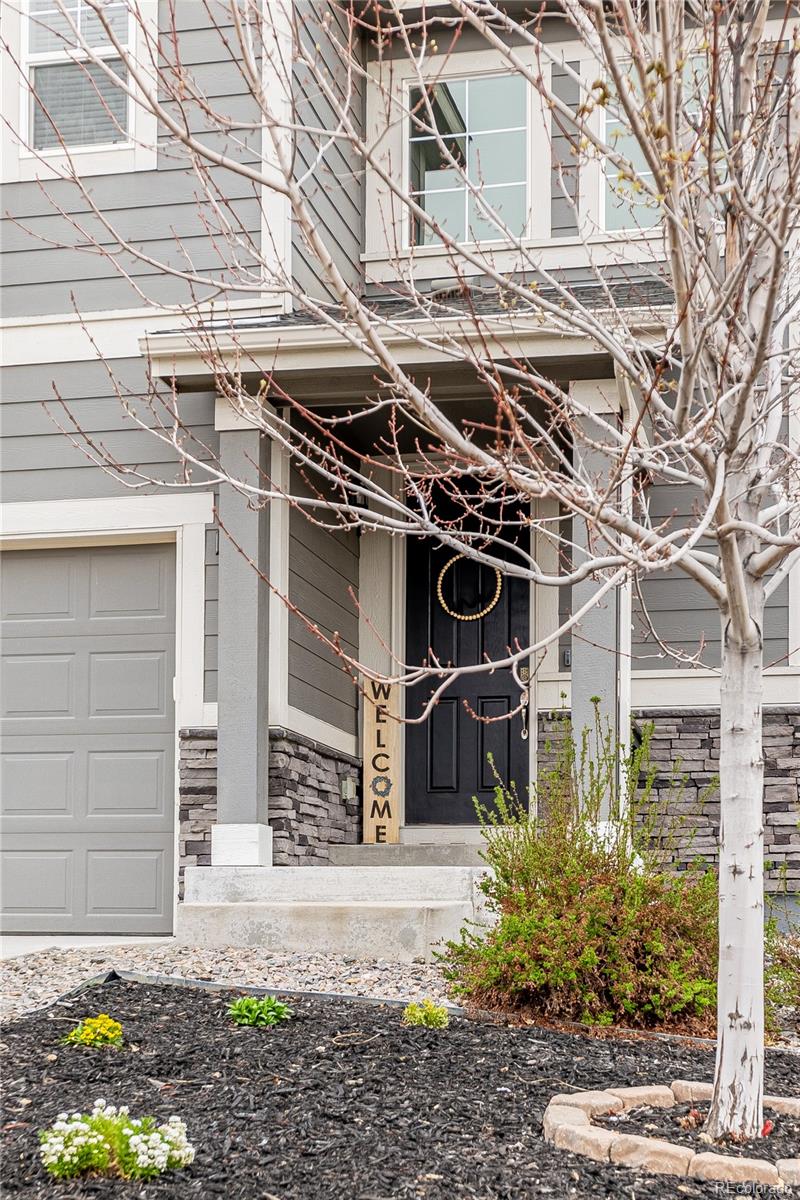 MLS Image #1 for 968  white leaf circle,castle rock, Colorado