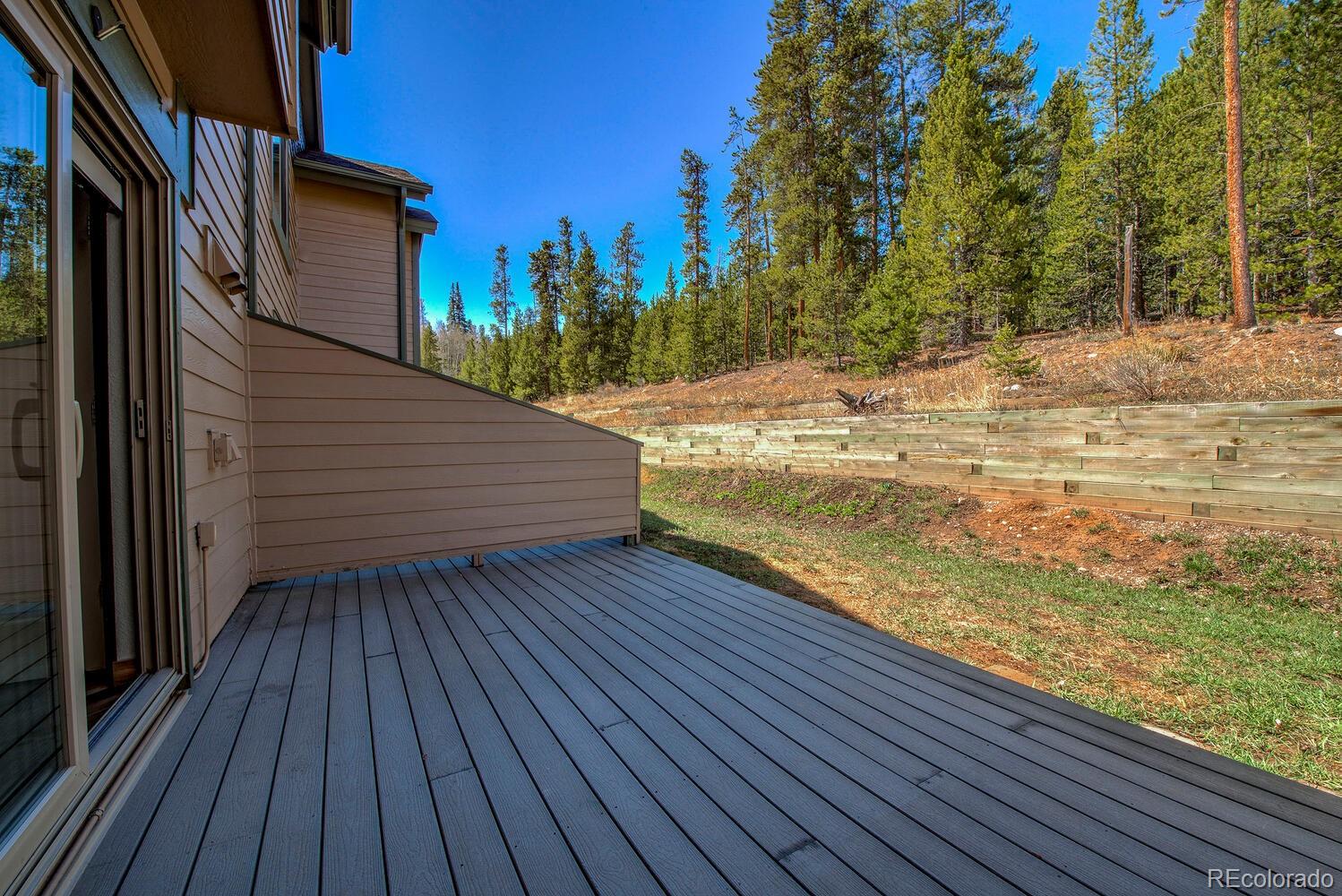 MLS Image #22 for 293  kestrel lane,silverthorne, Colorado
