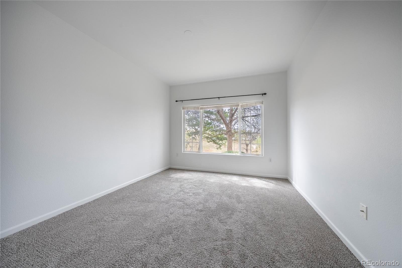 MLS Image #17 for 3701  cactus creek court,highlands ranch, Colorado
