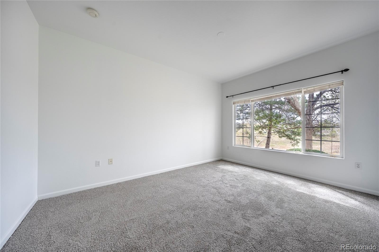 MLS Image #18 for 3701  cactus creek court,highlands ranch, Colorado