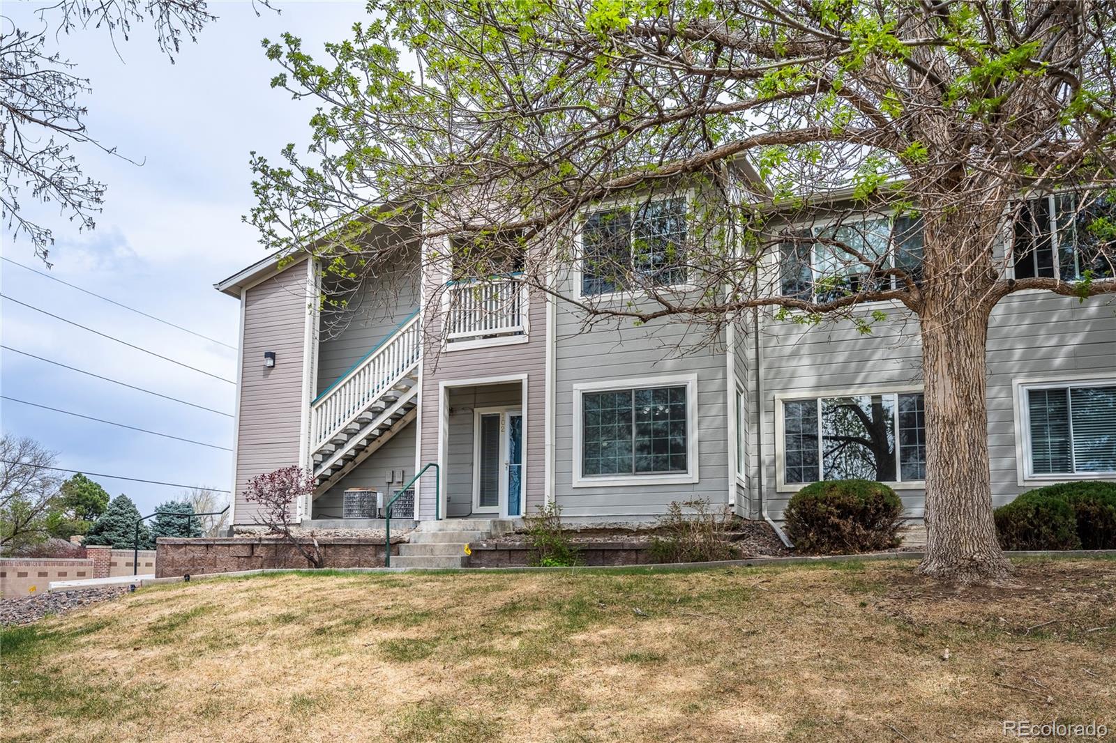 MLS Image #3 for 3701  cactus creek court,highlands ranch, Colorado