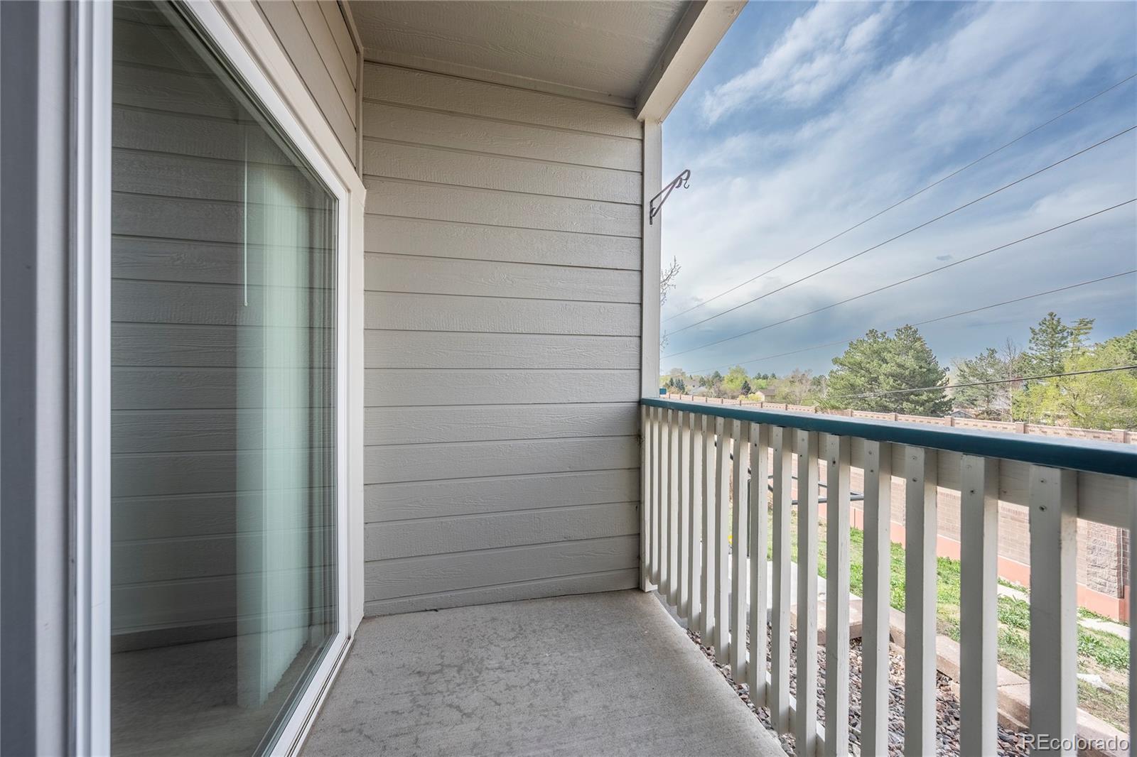 MLS Image #33 for 3701  cactus creek court,highlands ranch, Colorado
