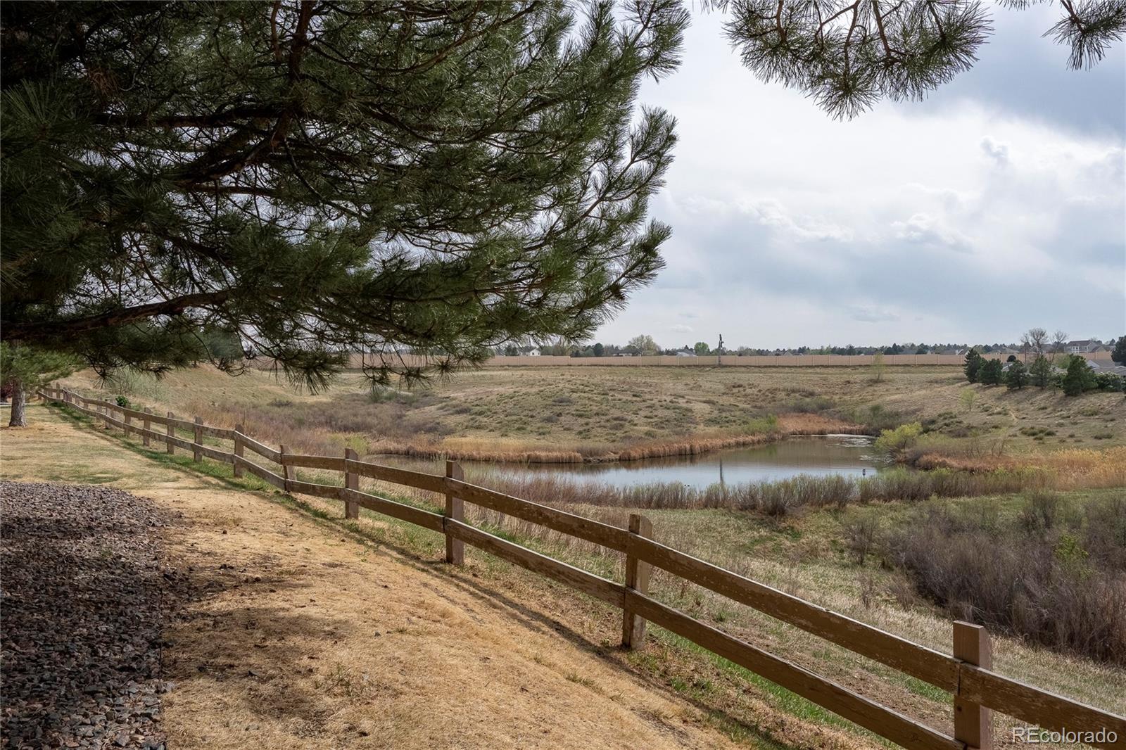 MLS Image #38 for 3701  cactus creek court,highlands ranch, Colorado