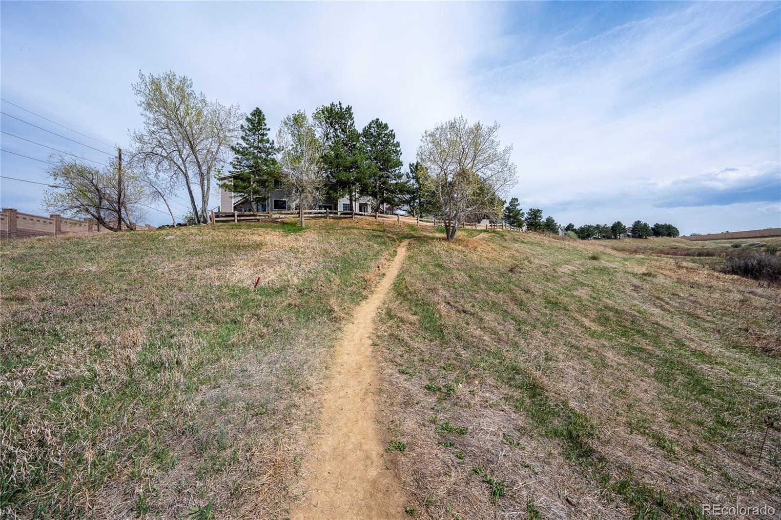 MLS Image #39 for 3701  cactus creek court,highlands ranch, Colorado