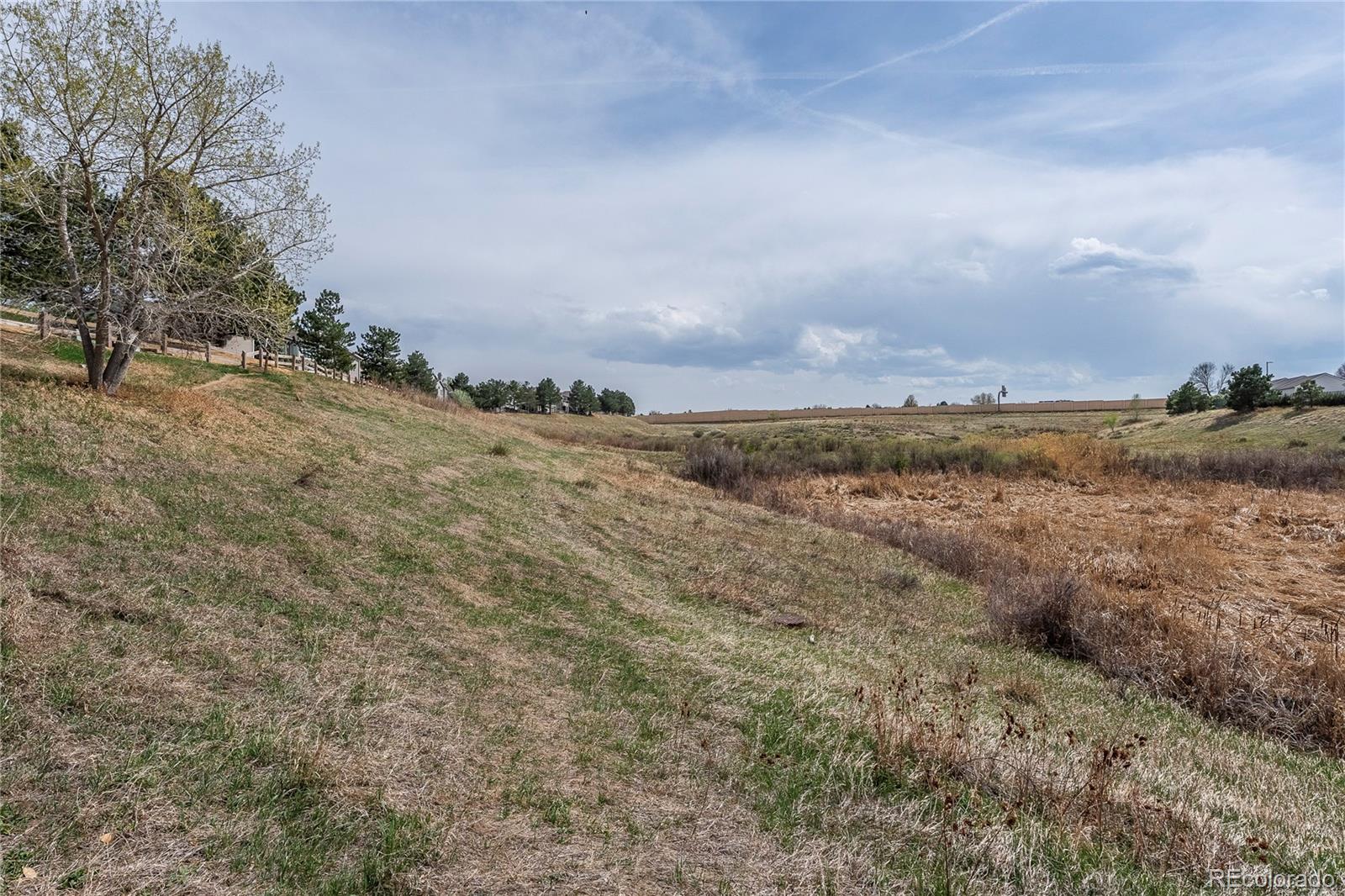 MLS Image #40 for 3701  cactus creek court,highlands ranch, Colorado