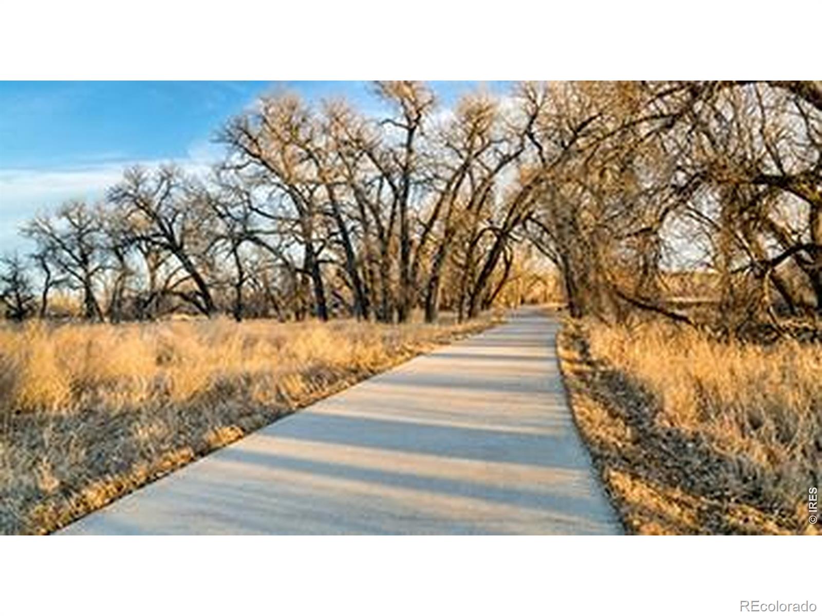 MLS Image #33 for 617  noola street,windsor, Colorado