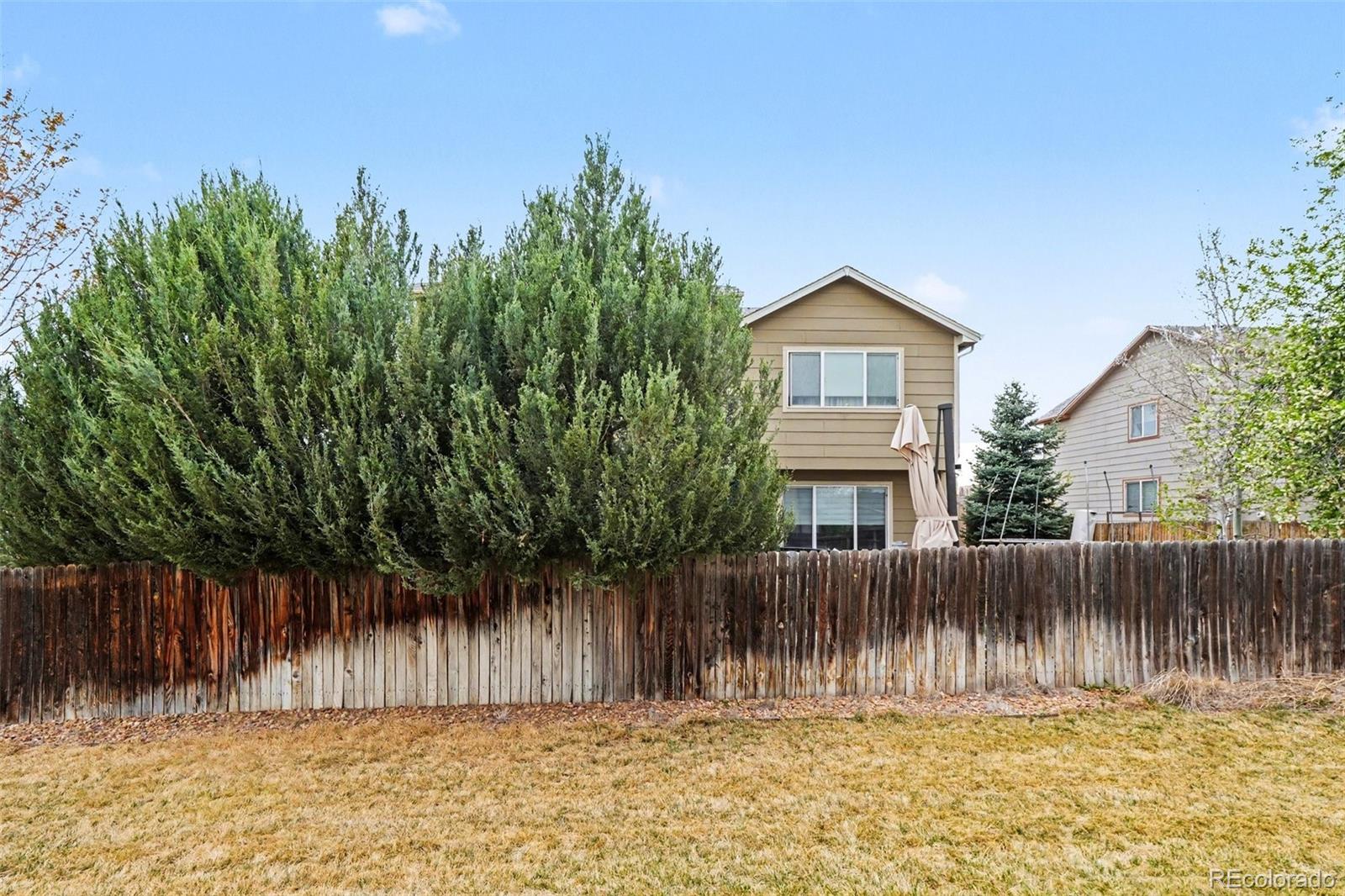 MLS Image #29 for 13003  niagara street,thornton, Colorado
