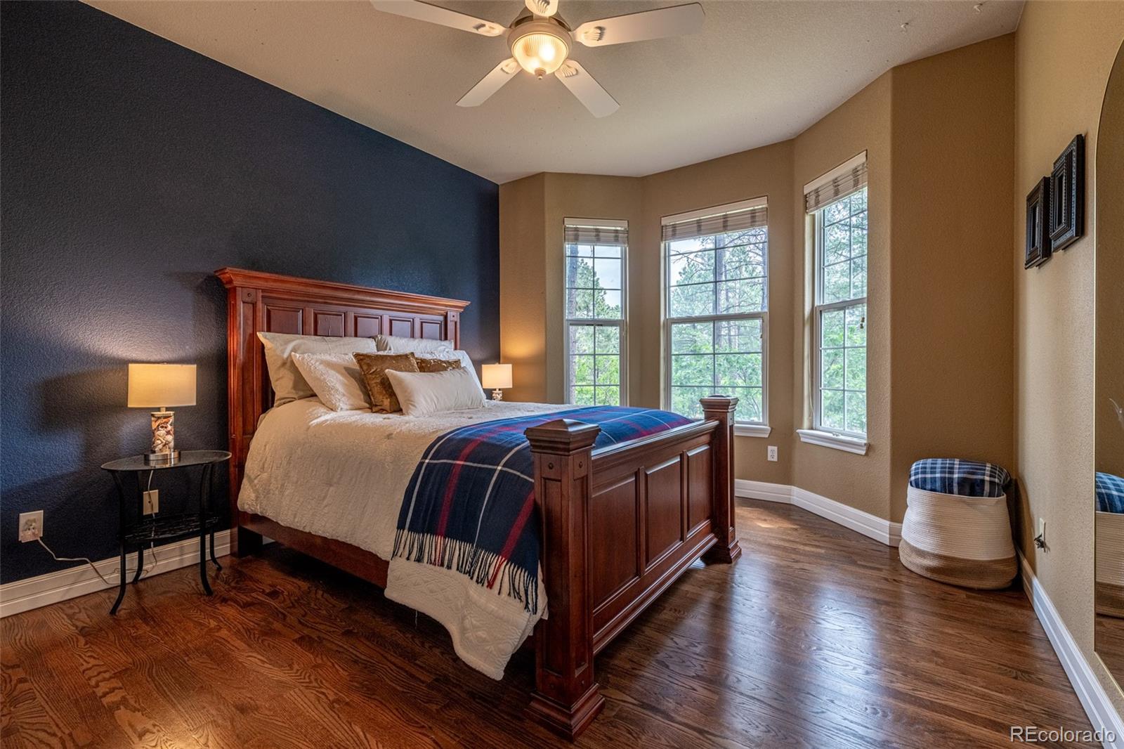 MLS Image #22 for 1118  kenosha drive,larkspur, Colorado