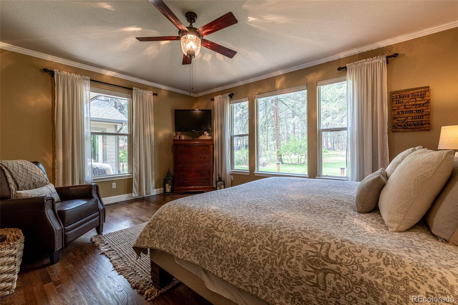 MLS Image #25 for 1118  kenosha drive,larkspur, Colorado