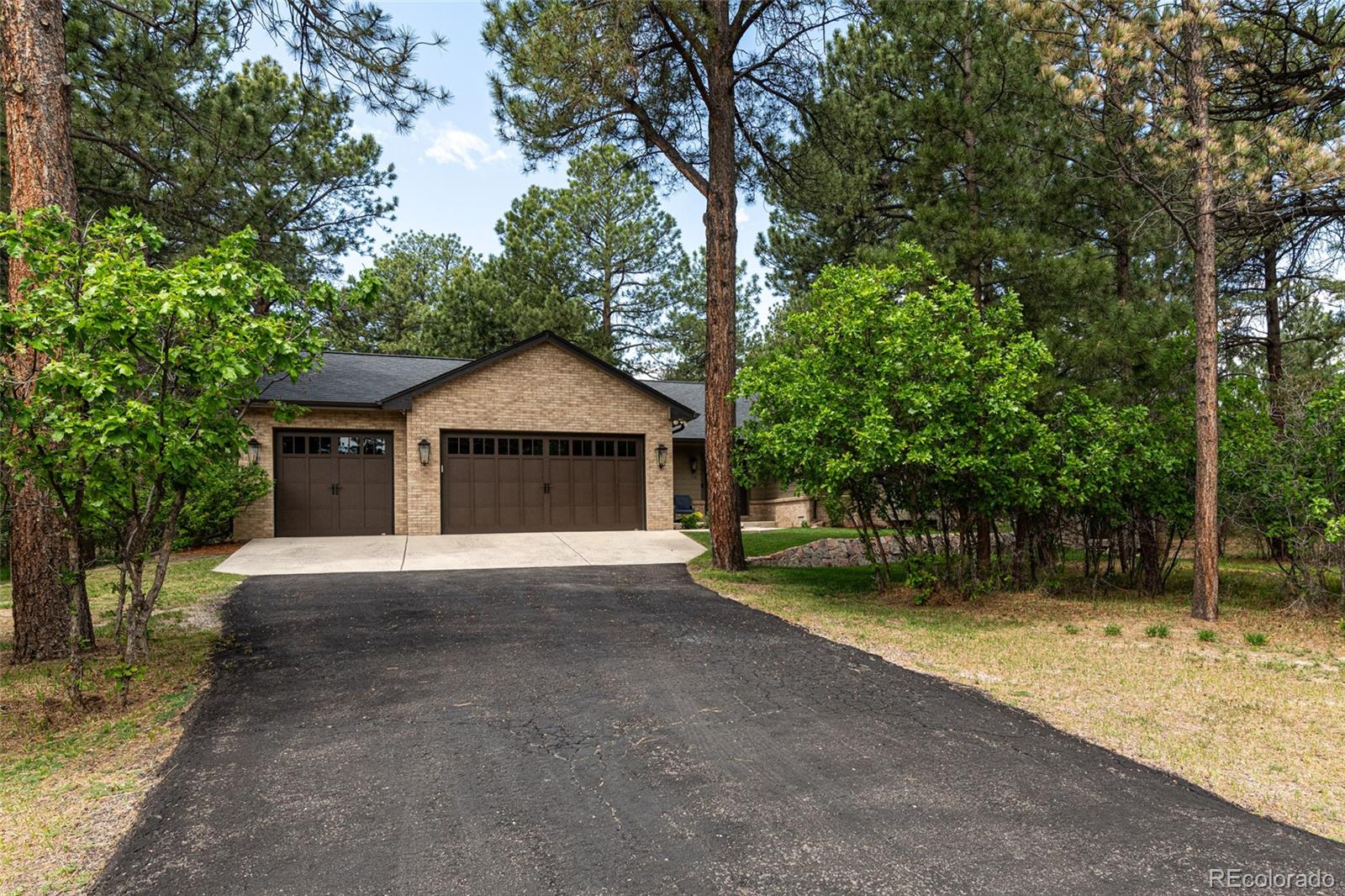 MLS Image #42 for 1118  kenosha drive,larkspur, Colorado