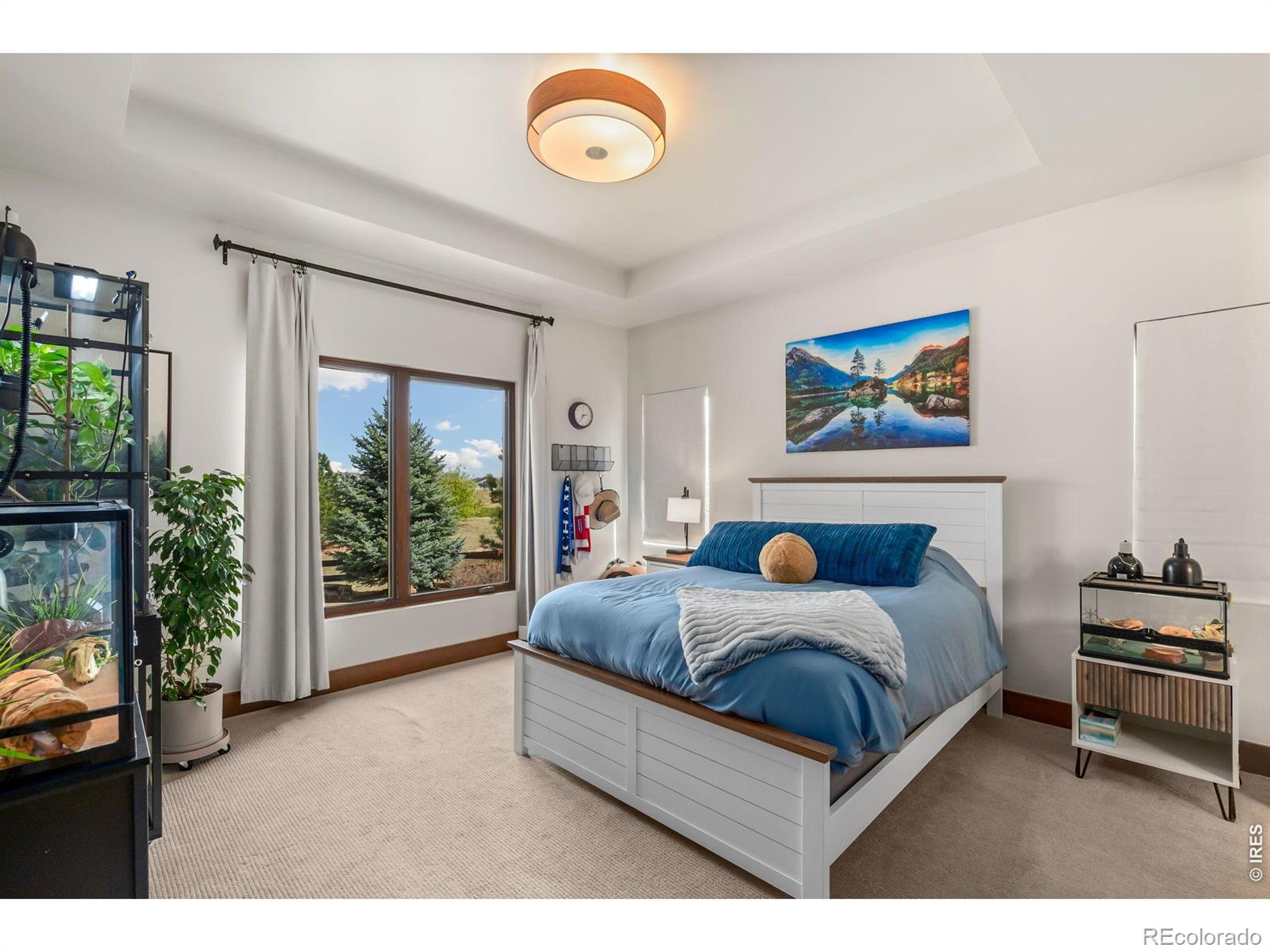 MLS Image #24 for 3922  ridgeline drive,timnath, Colorado