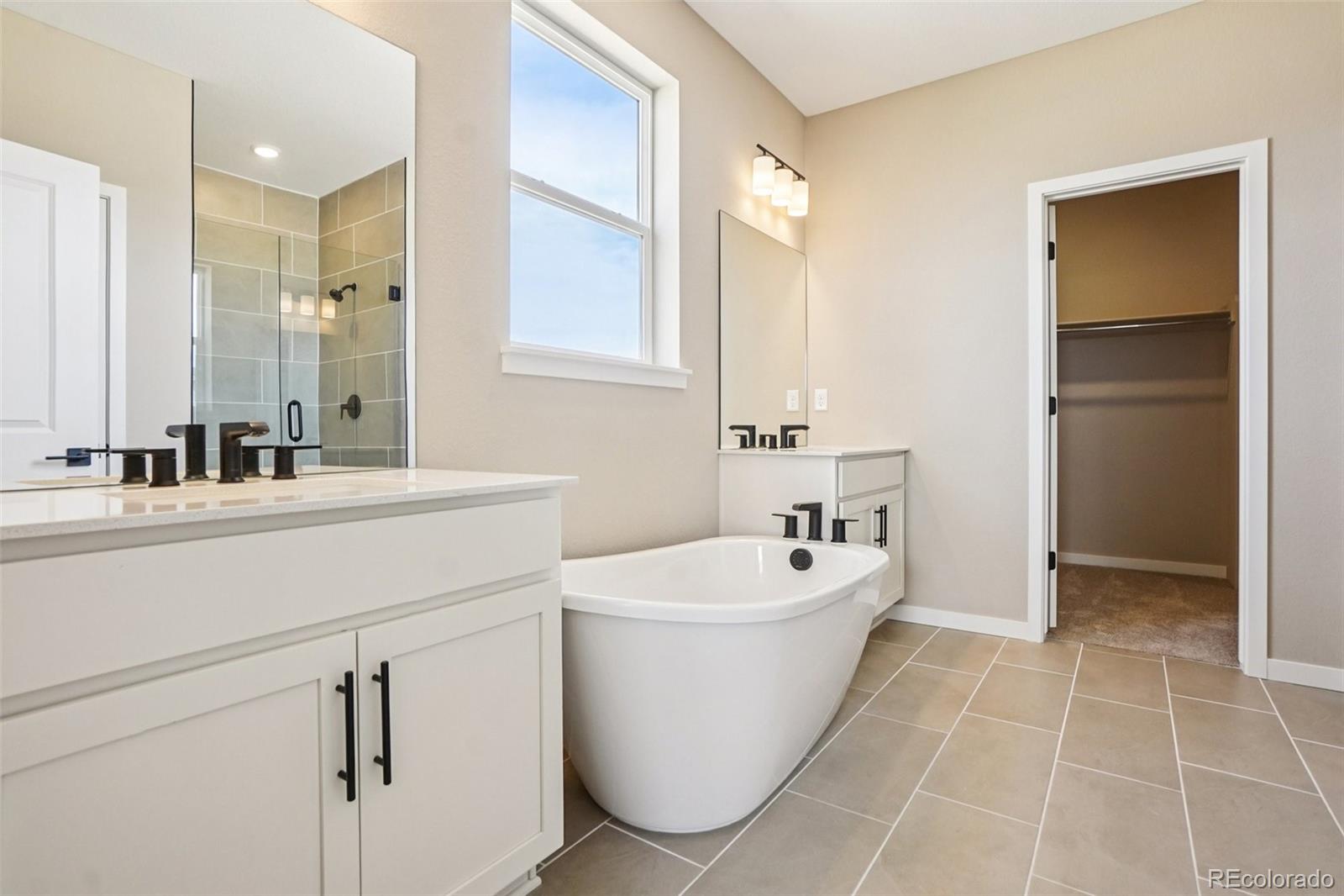 MLS Image #17 for 13817  daffodil way,parker, Colorado