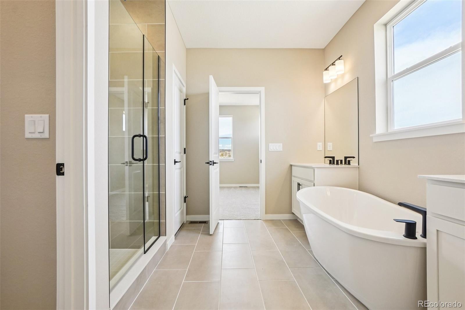MLS Image #18 for 13817  daffodil way,parker, Colorado