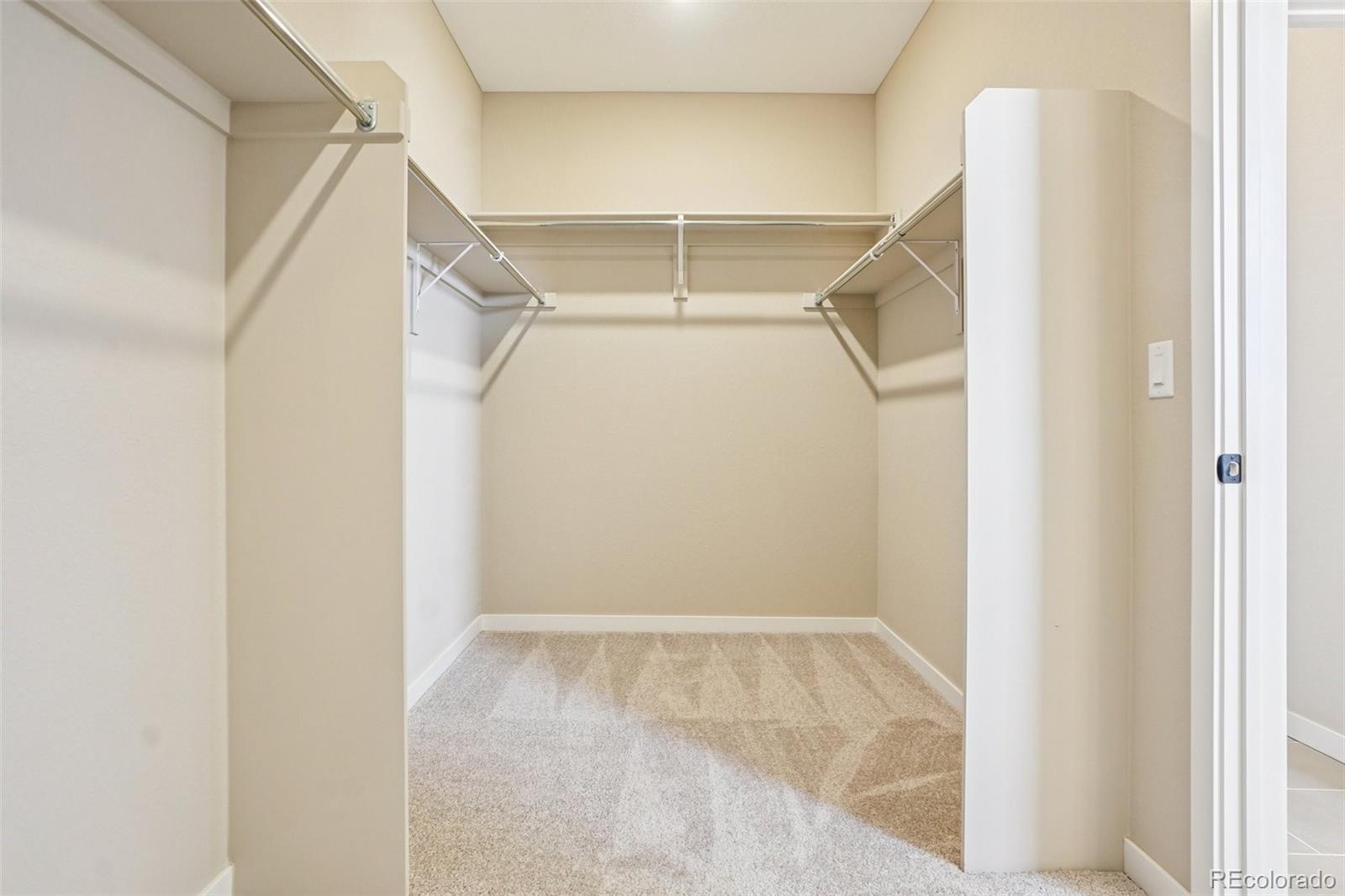 MLS Image #19 for 13817  daffodil way,parker, Colorado
