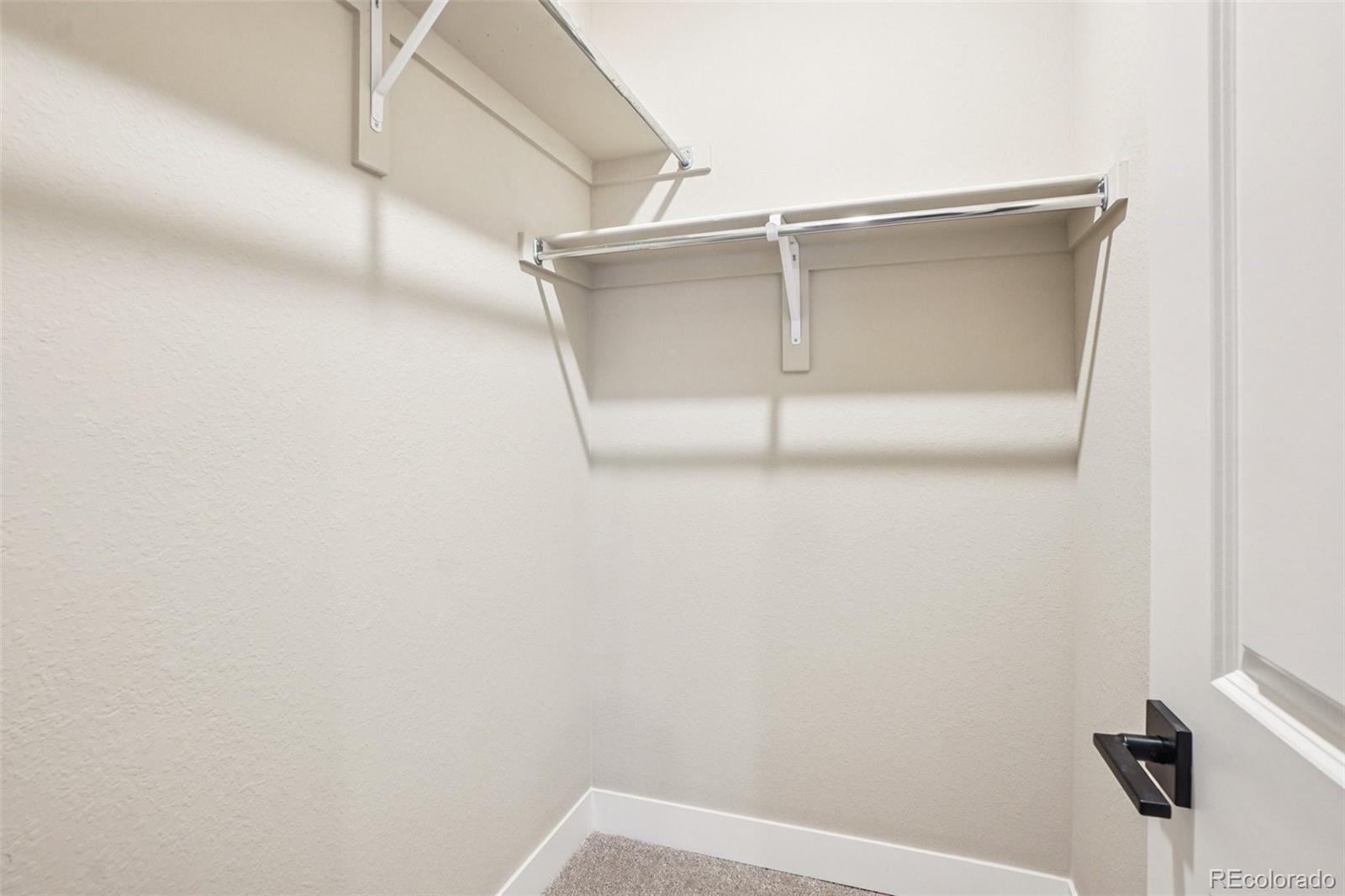 MLS Image #31 for 13817  daffodil way,parker, Colorado