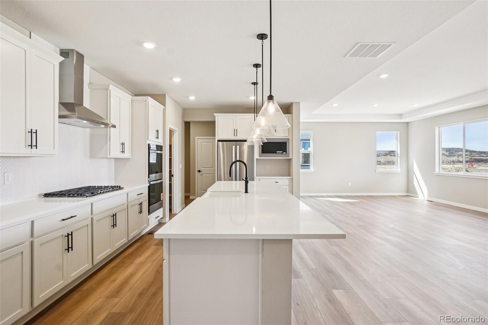 MLS Image #8 for 13817  daffodil way,parker, Colorado