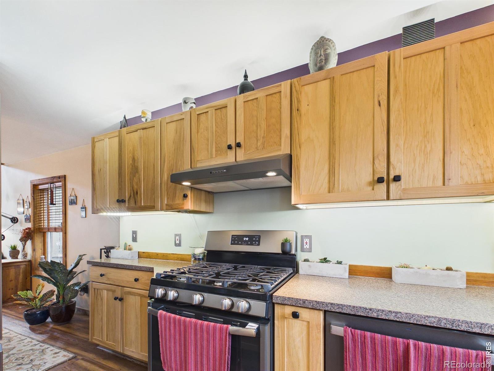 MLS Image #11 for 131 w boulder street,nederland, Colorado