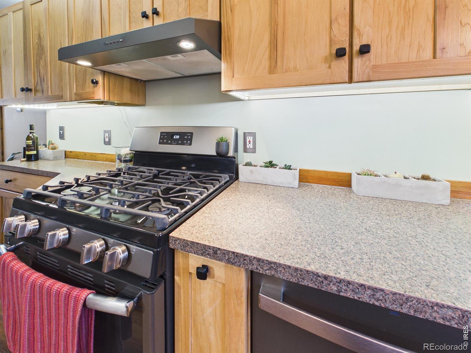MLS Image #14 for 131 w boulder street,nederland, Colorado