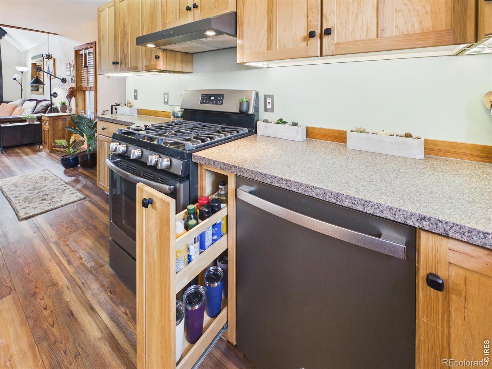 MLS Image #15 for 131 w boulder street,nederland, Colorado