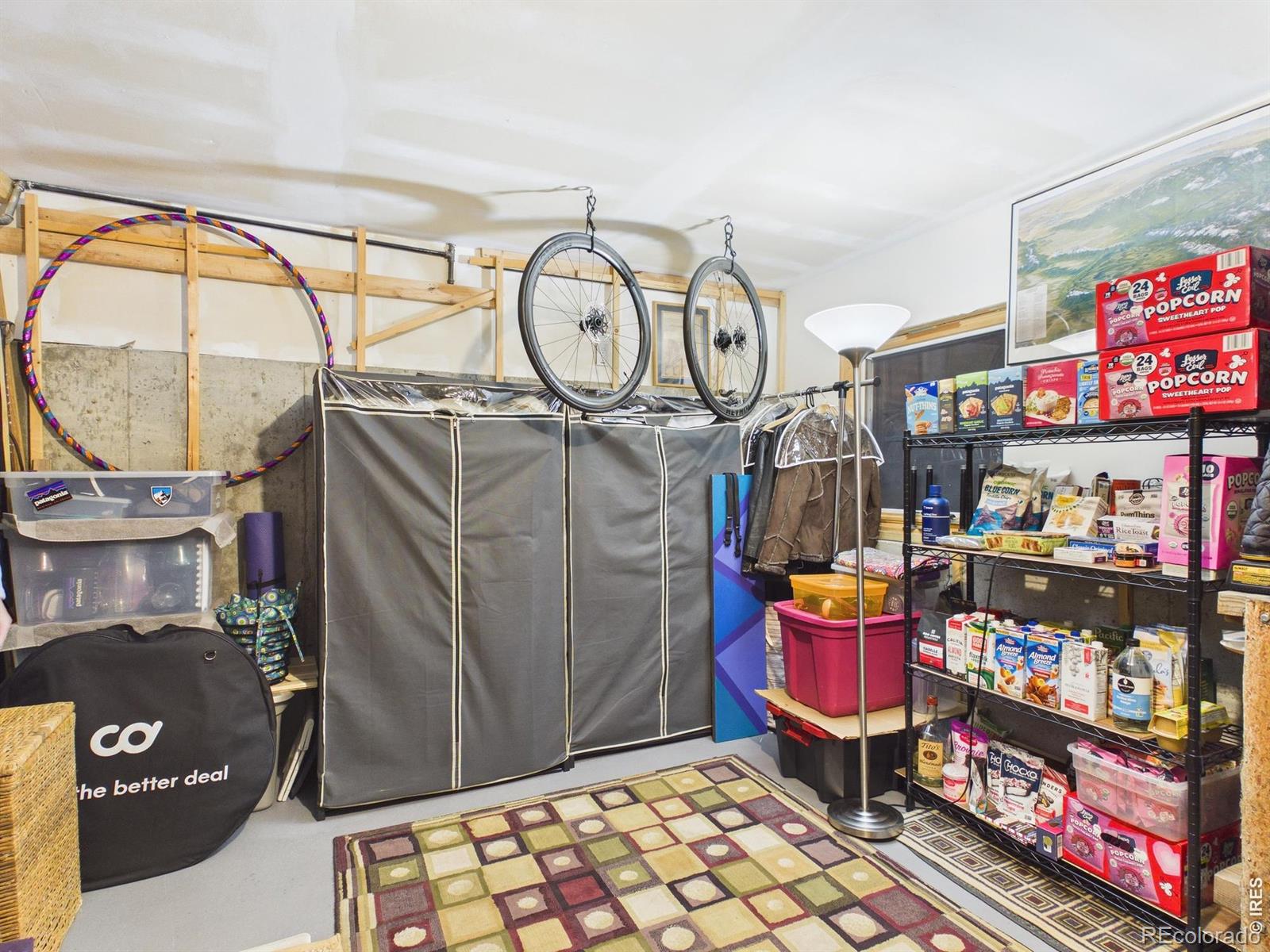 MLS Image #20 for 131 w boulder street,nederland, Colorado