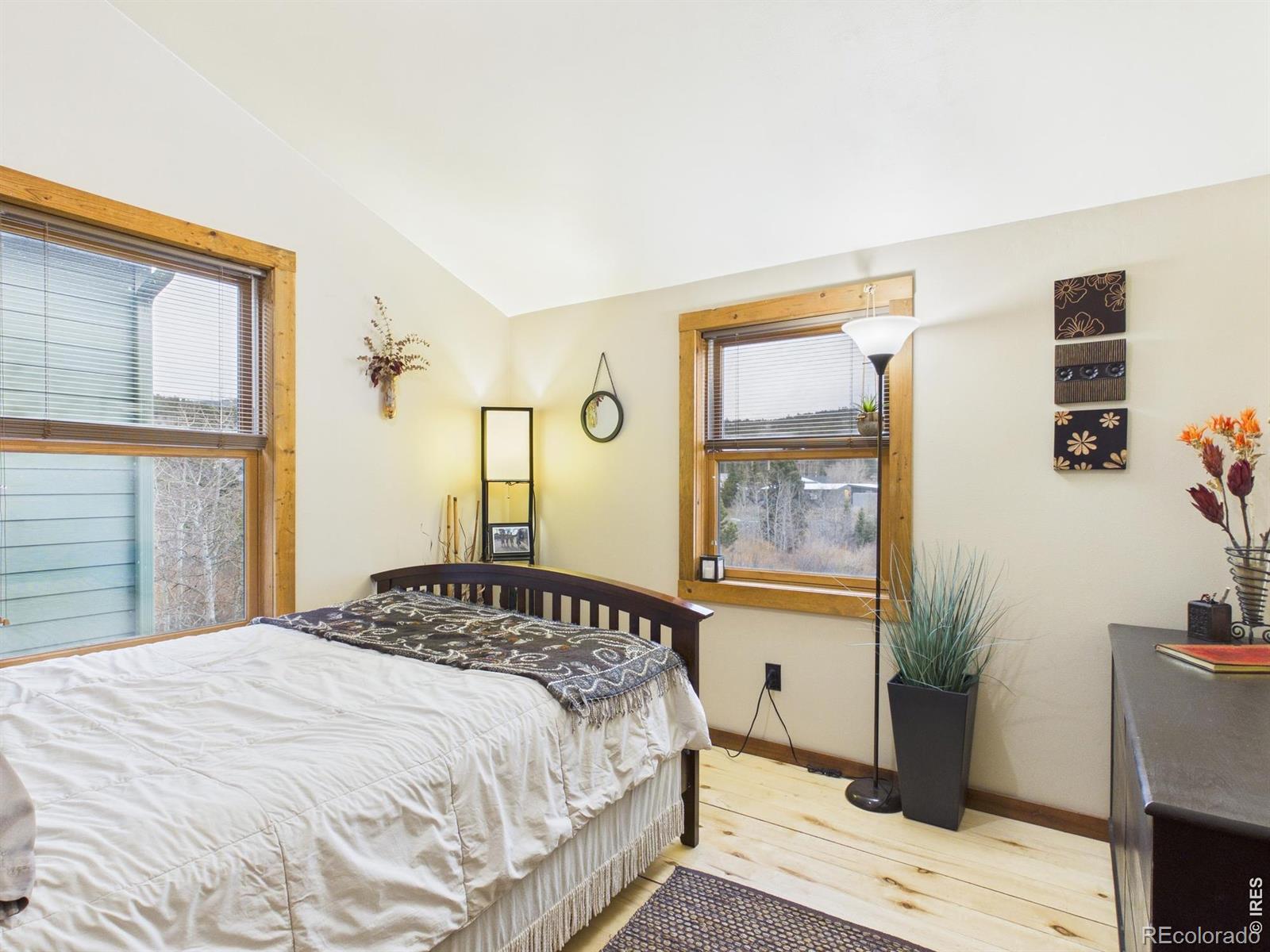 MLS Image #28 for 131 w boulder street,nederland, Colorado