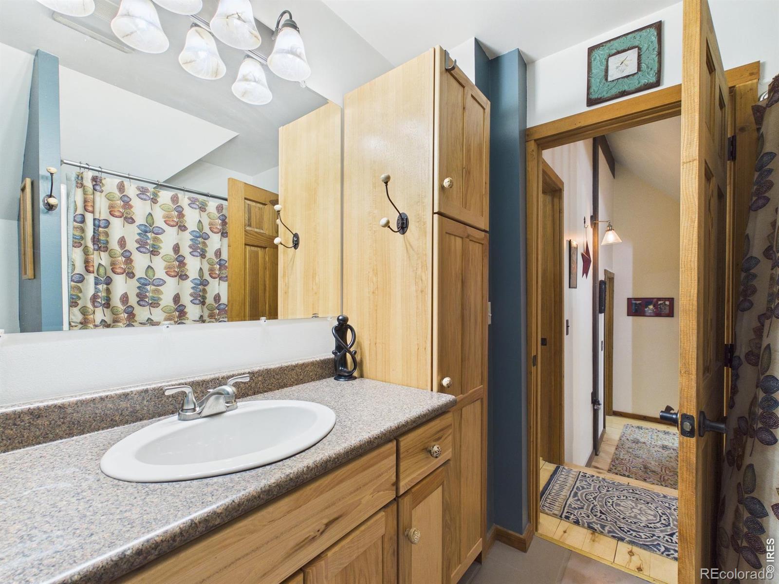 MLS Image #30 for 131 w boulder street,nederland, Colorado