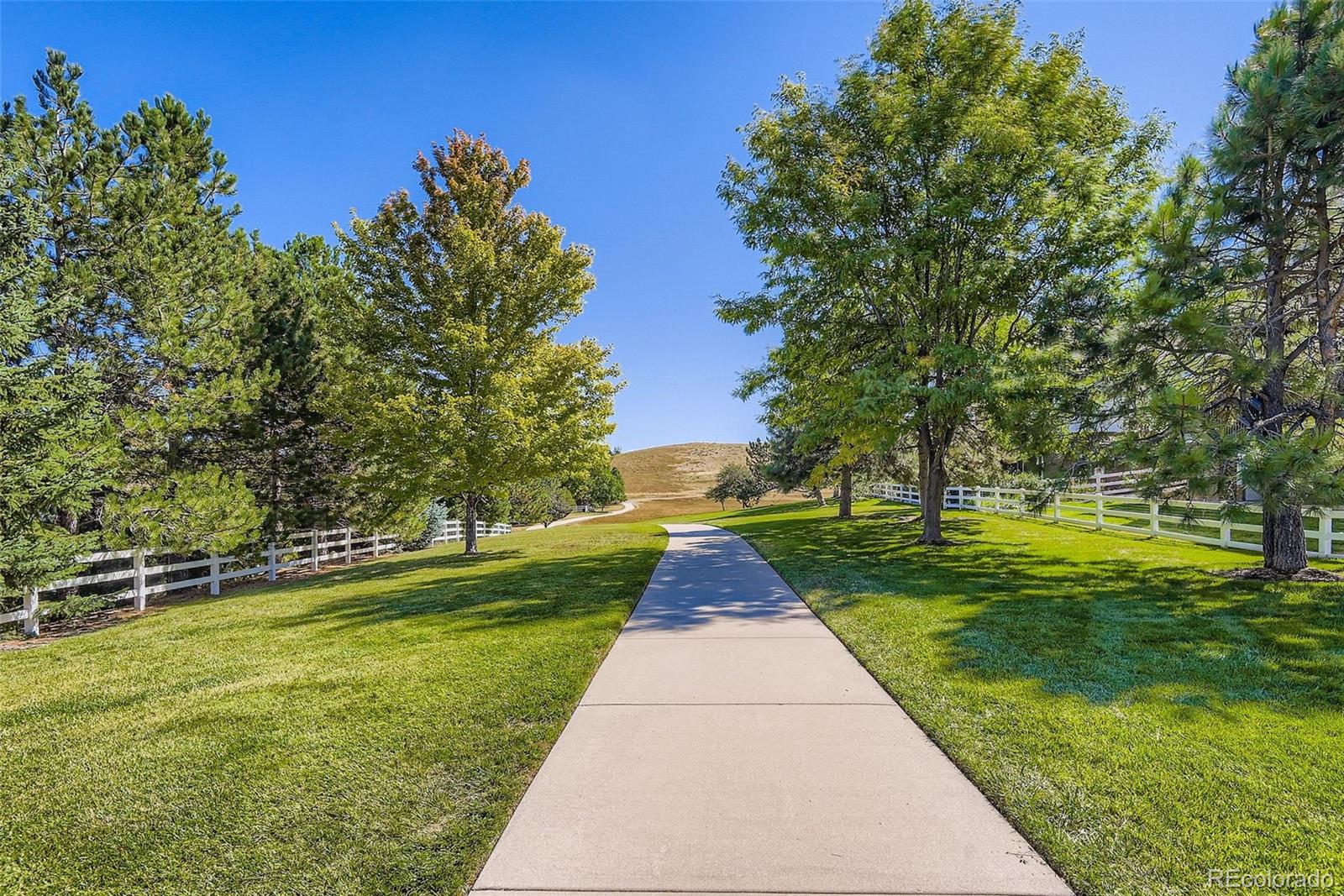 MLS Image #44 for 7923  witney place,lone tree, Colorado